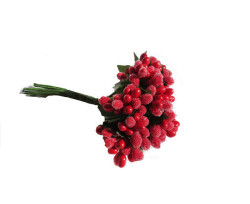 Çiçek Cipso Görünümünde Kırmızı - Thumbnail
