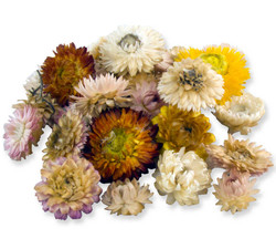  - Çiçek Doğal Saman Çiçeği Rengarenk Pk:30gr Kl:324