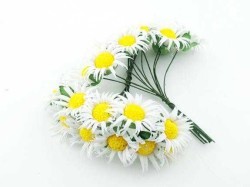 Çiçek Papatya Beyaz - Thumbnail