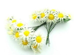 Çiçek Papatya Krem - Thumbnail