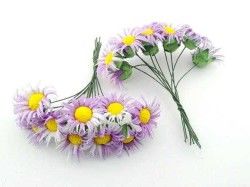 Çiçek Papatya Mor