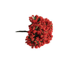 Cipso Çiçek Kırmızı - Thumbnail